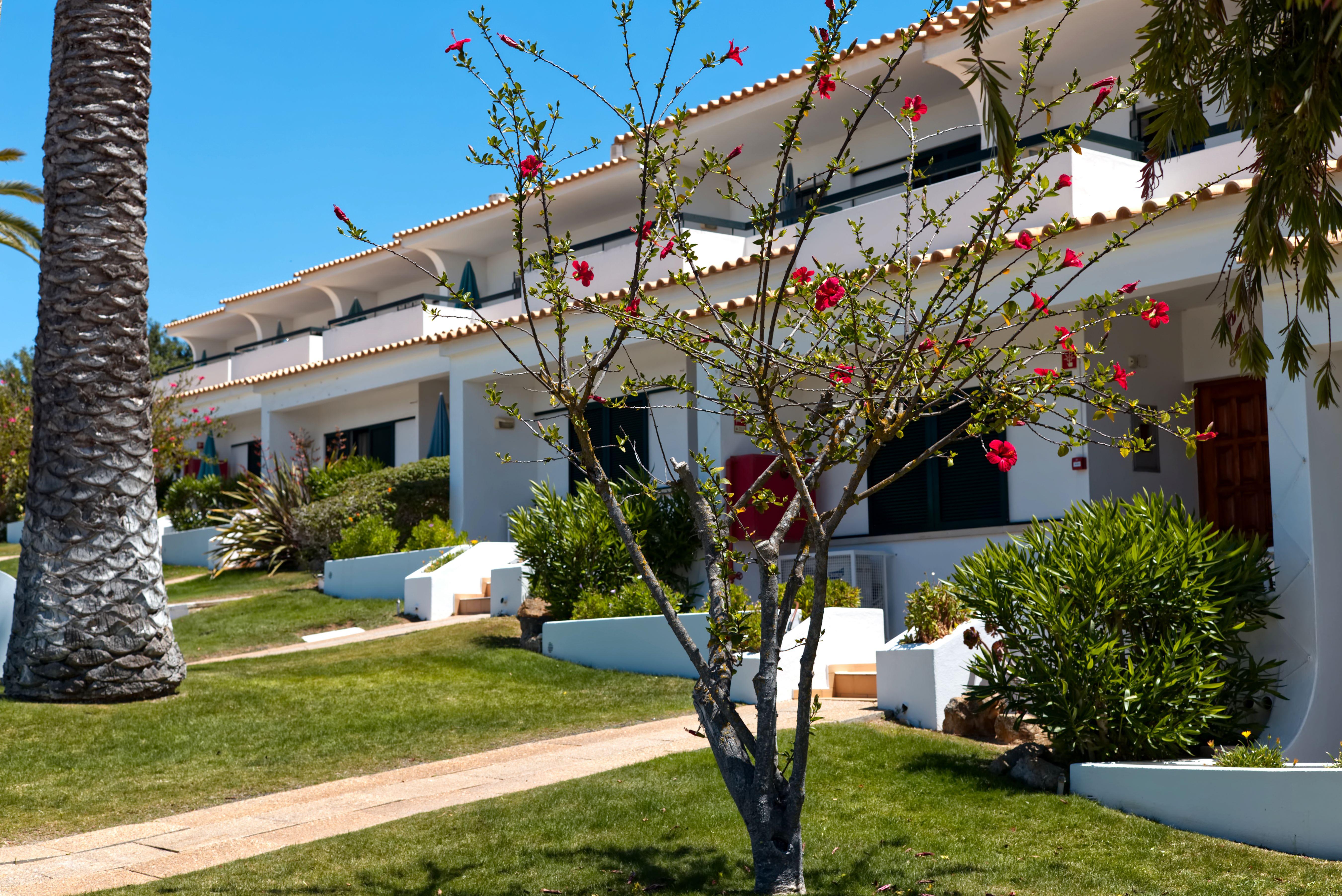 Parque Monte Verde Albufeira Dış mekan fotoğraf