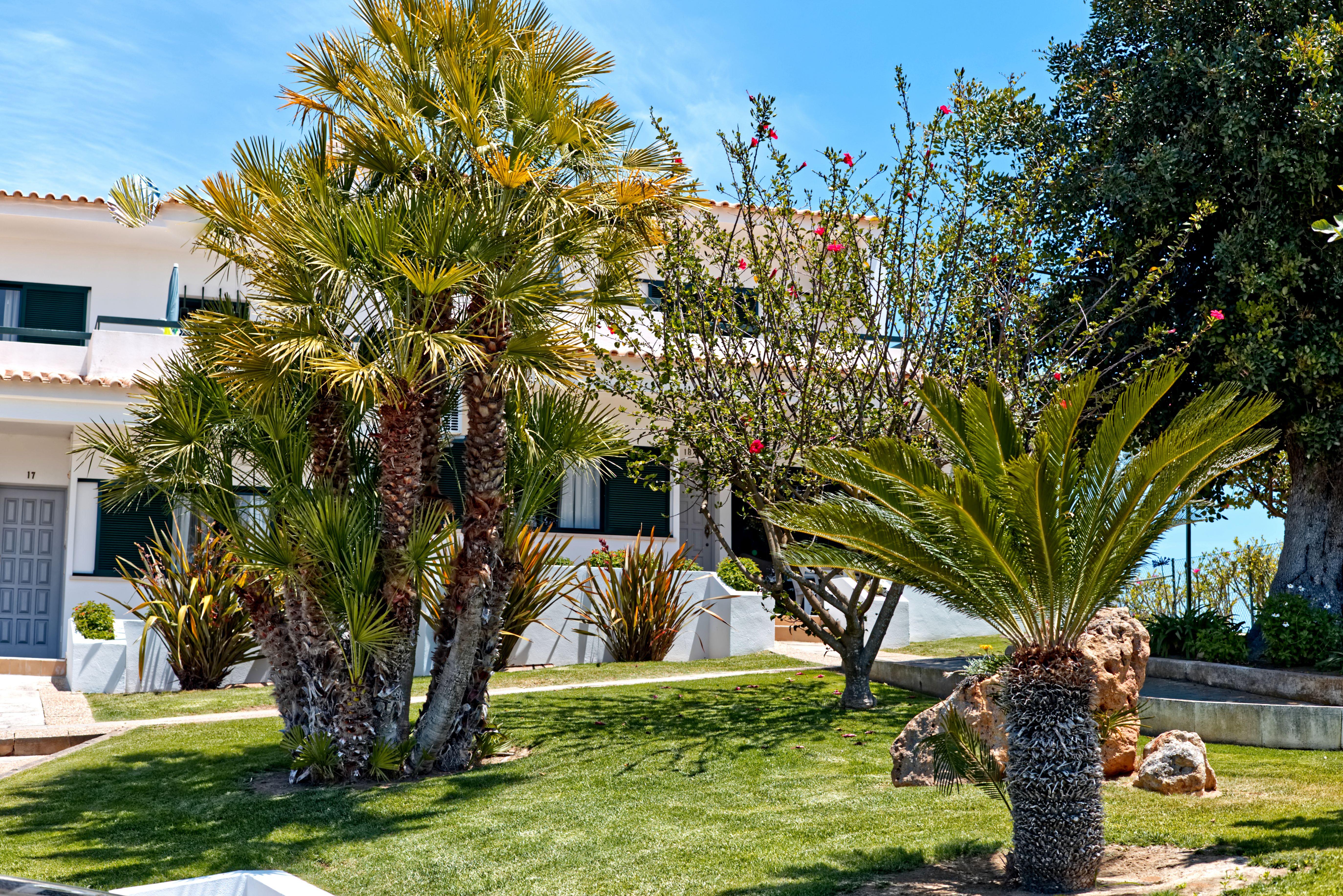 Parque Monte Verde Albufeira Dış mekan fotoğraf